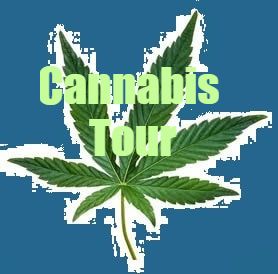 Cannabis tour